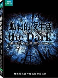 動物的夜生活