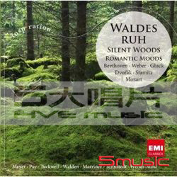 寂靜的森林－浪漫氣氛(靈感系列 108)