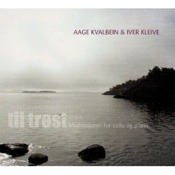 海平面上的琴音(LP)