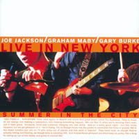 夏日城市紐約現場演唱會