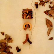 森林的人(視聽版)