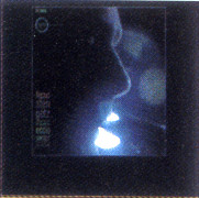 (旗艦8)即興焦點