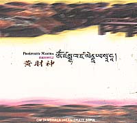 (源動力)西藏財神咒-黃財神