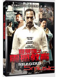 寶萊塢之震撼教育 (印度電影)