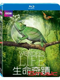 生命奇蹟-(藍光)