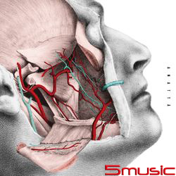 如果身體全部開放了