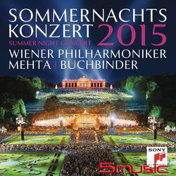2015年維也納仲夏夜露天音樂會