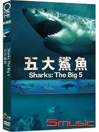 五大鯊魚