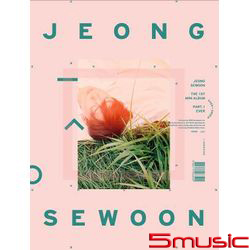 第一張迷你專輯「Ever」(SONY代理韓國進口台灣GREEN版)