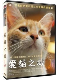 愛貓之城