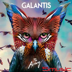 群鳥飛舞(歐洲進口盤)