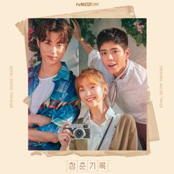 青春紀錄-電視原聲帶 (韓國進口版2LP)