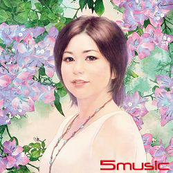 夏川里美台灣精選 (黑膠)