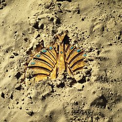 大發現(環球官方進口初回生產限定盤 2LP)