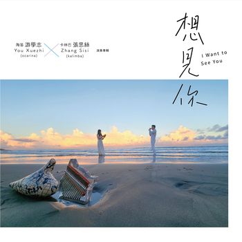 想見你-陶笛與卡林巴演奏專輯