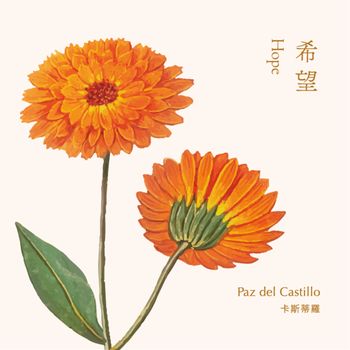 琴聲花語 - 希望