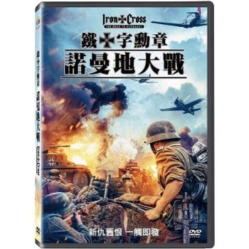 鐵十字勳章-諾曼地大戰