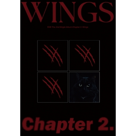(NIGHT版)第二張單曲「 Chapter 2. Wings」(韓國進口版)