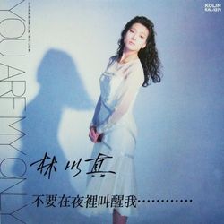 不要在夜裡叫醒我 黑膠唱片LP