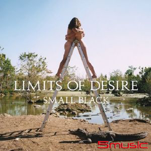 慾望頂點(進口)