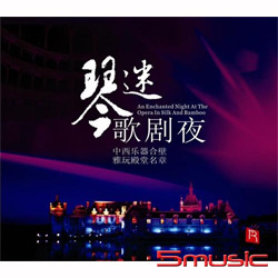 琴迷歌劇夜