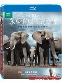 永恆的生命脈動-(藍光)