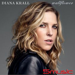 美麗年代(黑膠唱片二片裝)