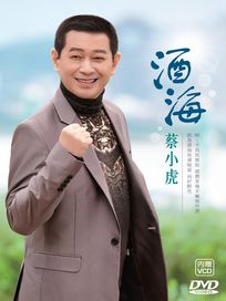 酒海(DVD+VCD)