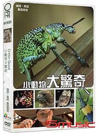小動物大驚奇