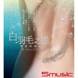 白羽毛之戀 華語典藏情歌 3 (2CD)