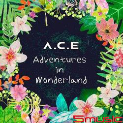 A.C.E Adventures in Wonderland(台灣盤NIGHT ver.)