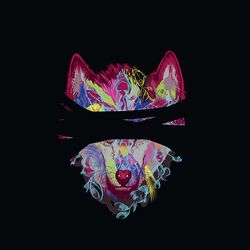 【一匹狼】CD+DVD初回限定盤