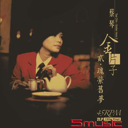 金片子 (貳) 魂縈舊夢45轉2LP