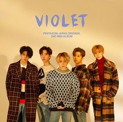 Violet(日本進口TYPE-B盤)