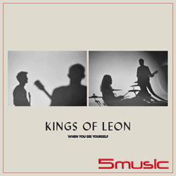 自我審視 (進口)