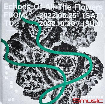 Re：小花盛開的回音 –回音版