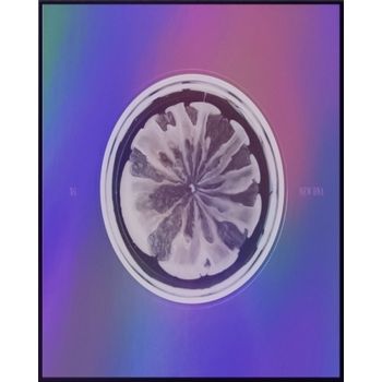 (X版)第一張迷你專輯「NEW DNA」(日本進口版)