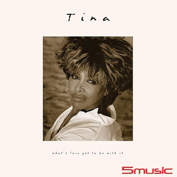 與愛何干 (2CD 進口)