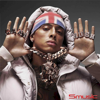 成就不急 (黑膠唱片)