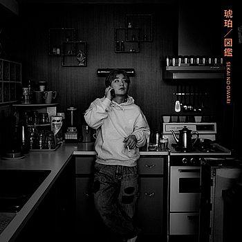 琥珀/圖鑑(通常盤A)