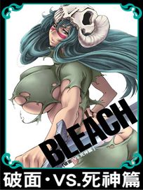 Bleach 死神-破面v.s死神篇 (第190-205話/雙語發音/中文字幕)