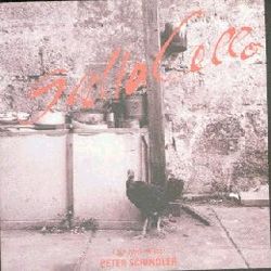 躍動拉丁~大提琴演奏曲