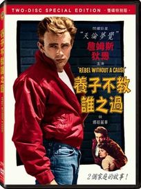 養子不教誰之過-(雙碟特別版)