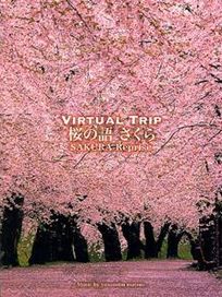 實境之旅:櫻之語