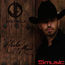 手工製造(進口)