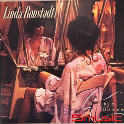 簡單的夢想45轉2LP 200G