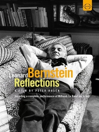 映像─伯恩斯坦紀錄片