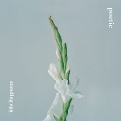 迷你專輯「POETIC」(韓國進口版)