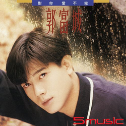 對你愛不完 (典藏彩膠-透明黃)