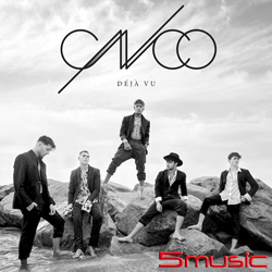 似曾相識  (進口)